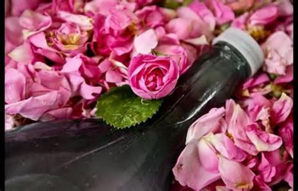 راهنمای خرید گلاب شیراز با کیفیت عالی
