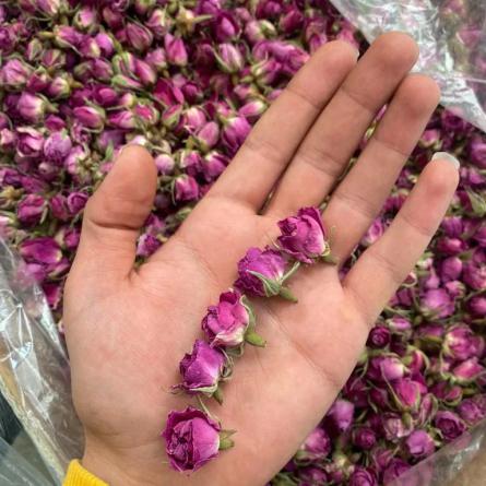 عوامل موثر در کیفیت گل محمدی