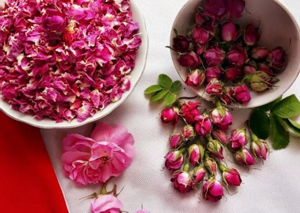 بهترین روش برای حفظ کیفیت گل محمدی خشک شده